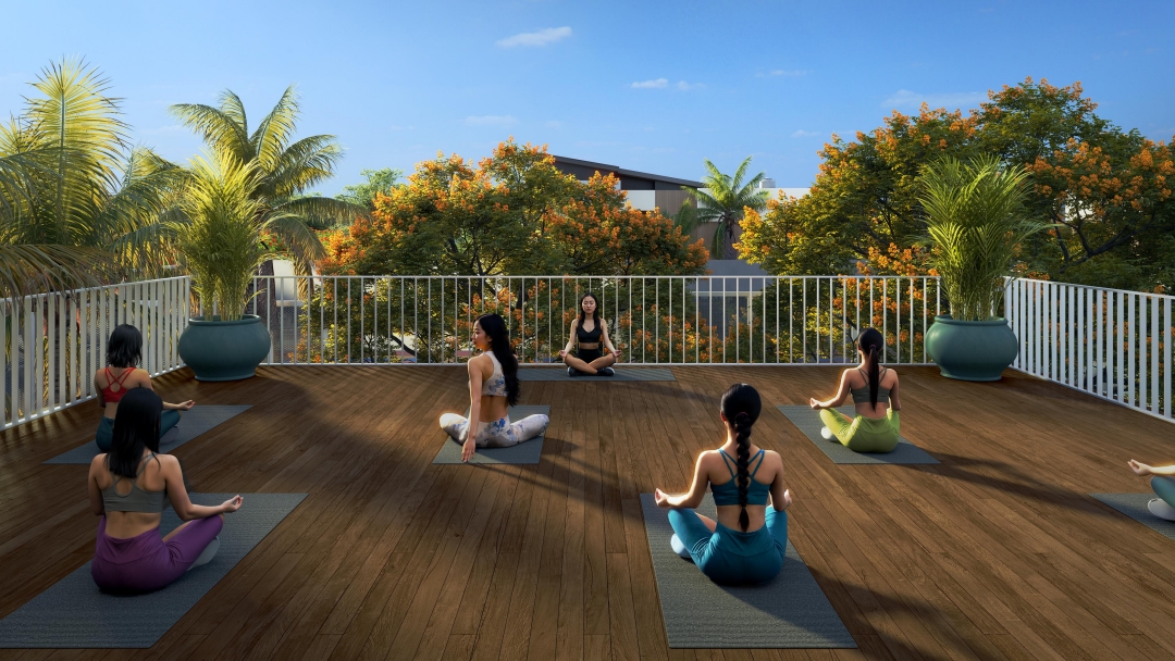 Area Yoga