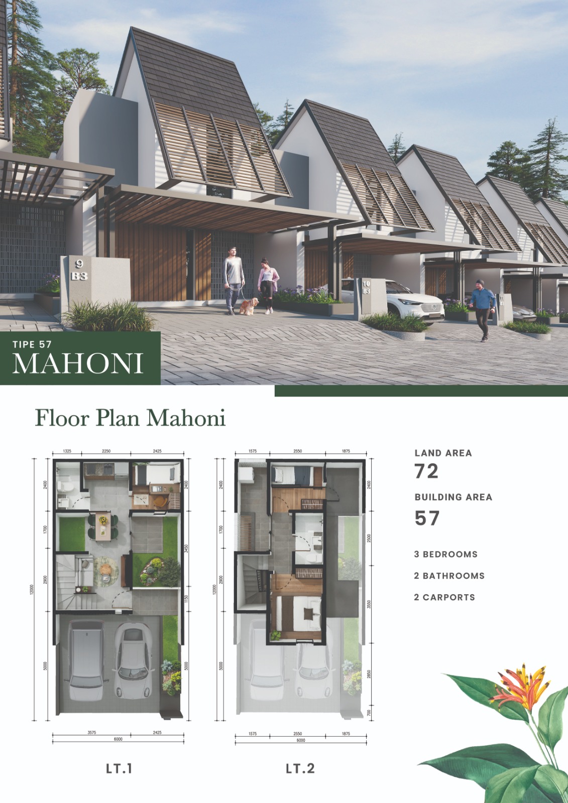 Tipe Mahoni